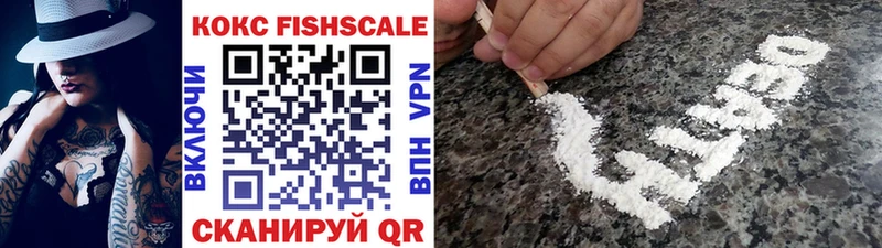 Cocaine Fish Scale  Купить закладки  Магнитогорск 